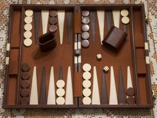 A backgammon board